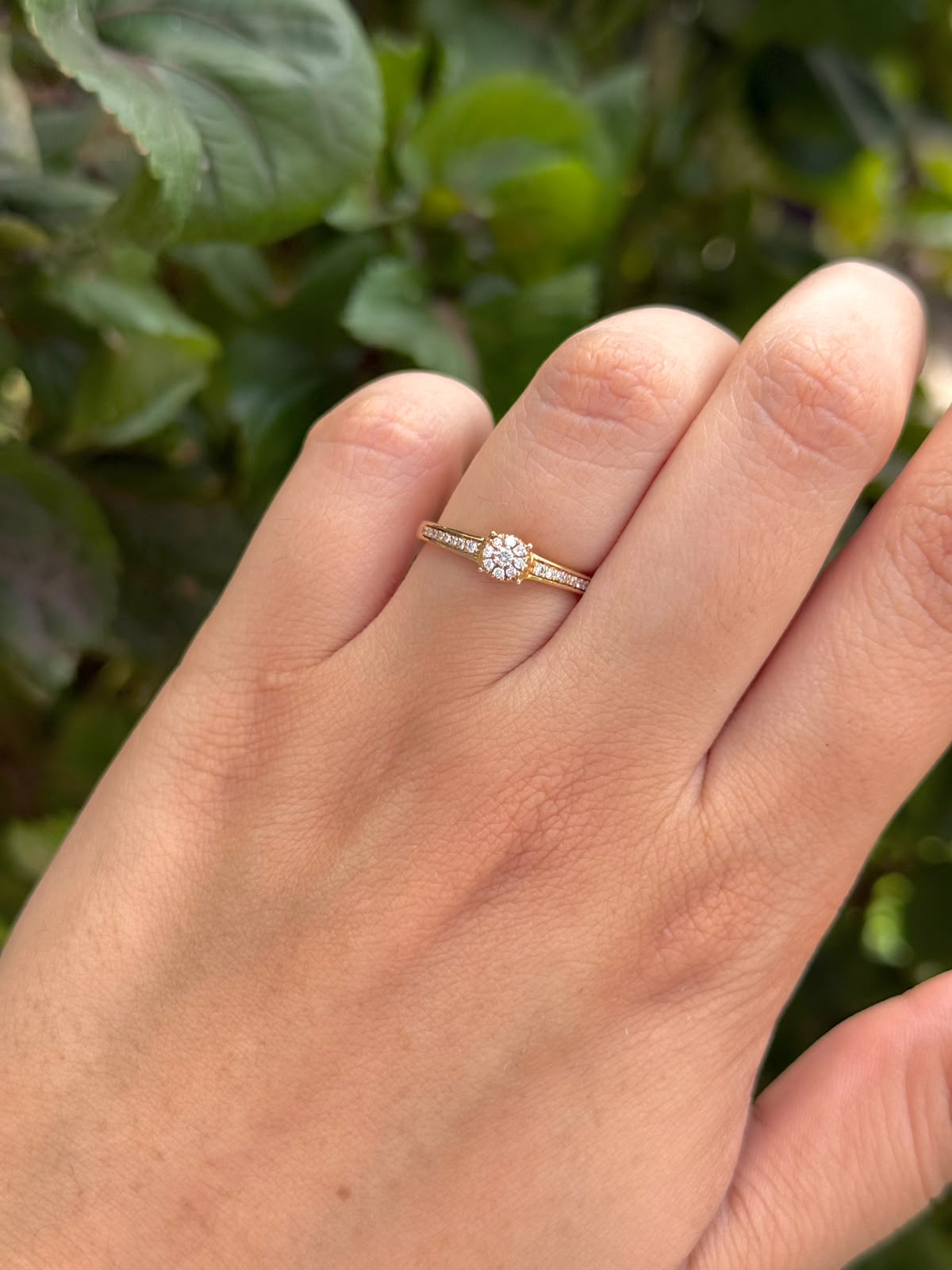 Anillo de Diamantes